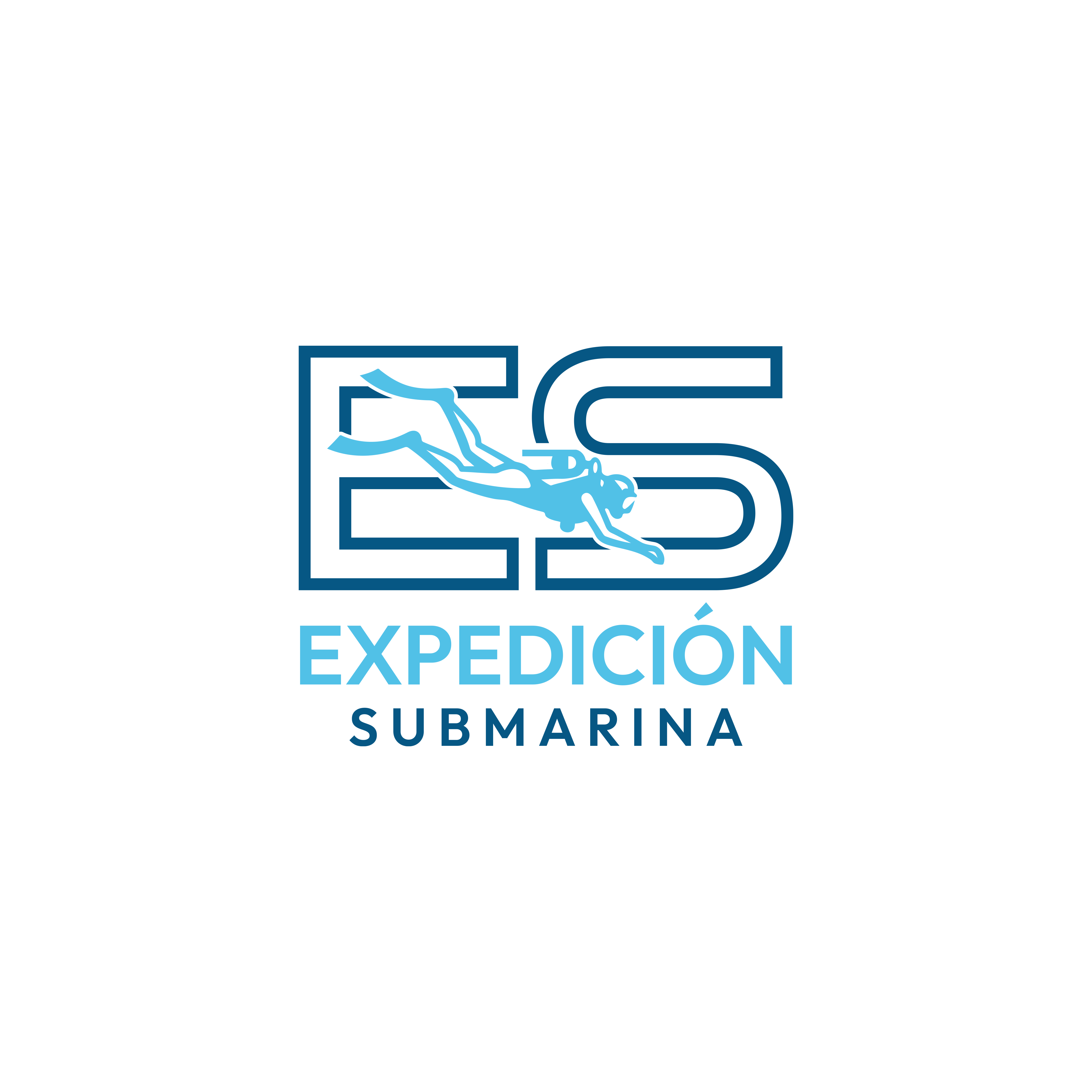 Logo Design by Roohi Studio for this project | Design #36959119