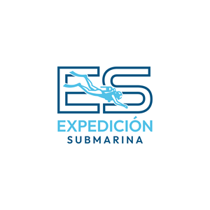 Logo Design by Roohi Studio