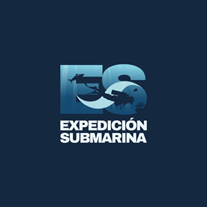 Logo Design by Felipe Moura for this project | Design: #36960126