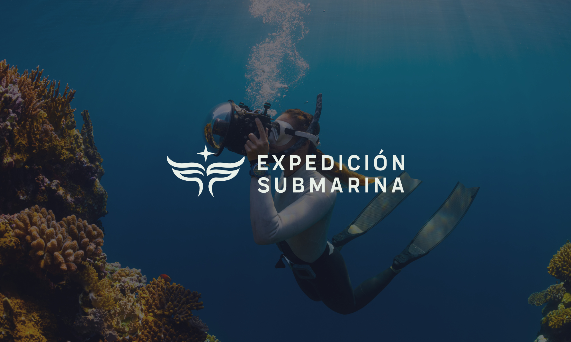 Logo Design by John316 for this project | Design #36989174