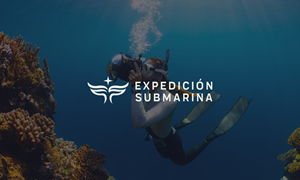 Logo Design by John316 for this project | Design: #36989174