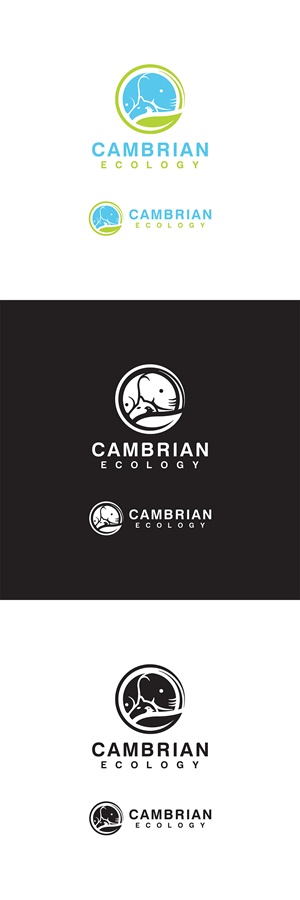 Logo Design by QubeCorner for this project | Design #36965888