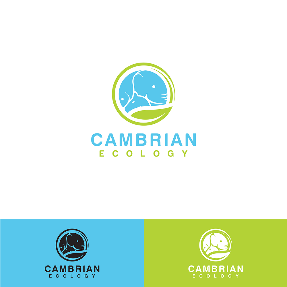 Logo Design by QubeCorner for this project | Design #36968532