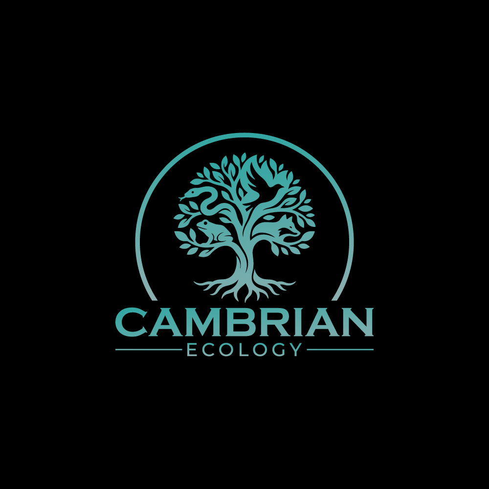 Logo Design by hellodesigneralamin for this project | Design #36967726