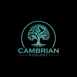 Logo Design by hellodesigneralamin for this project | Design: #36967726