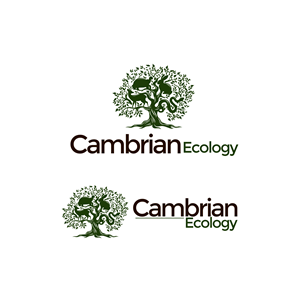 Logo Design by rgb01 for this project | Design: #36994572