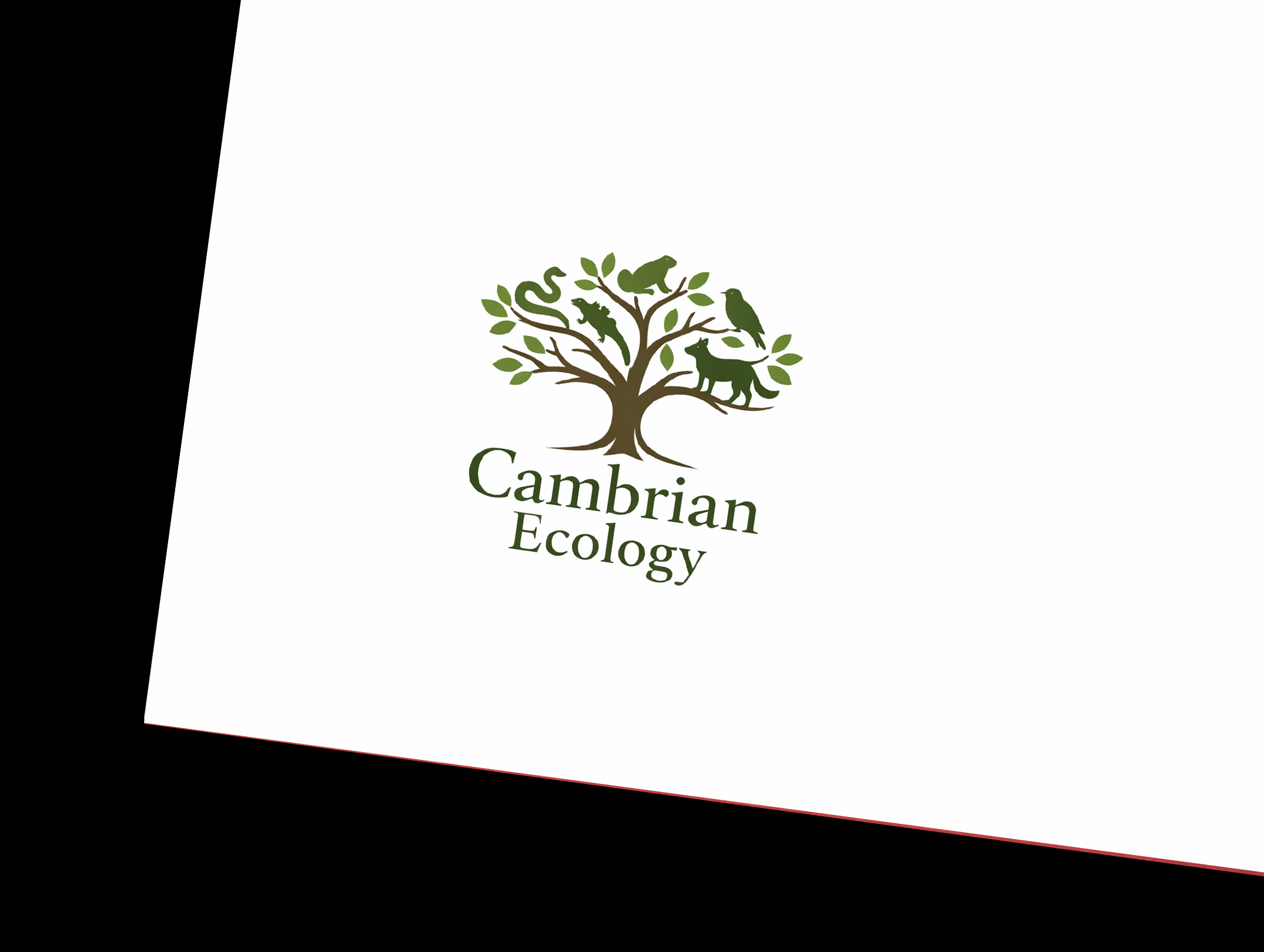 Logo Design by Nova Creative Designs for this project | Design #36970912