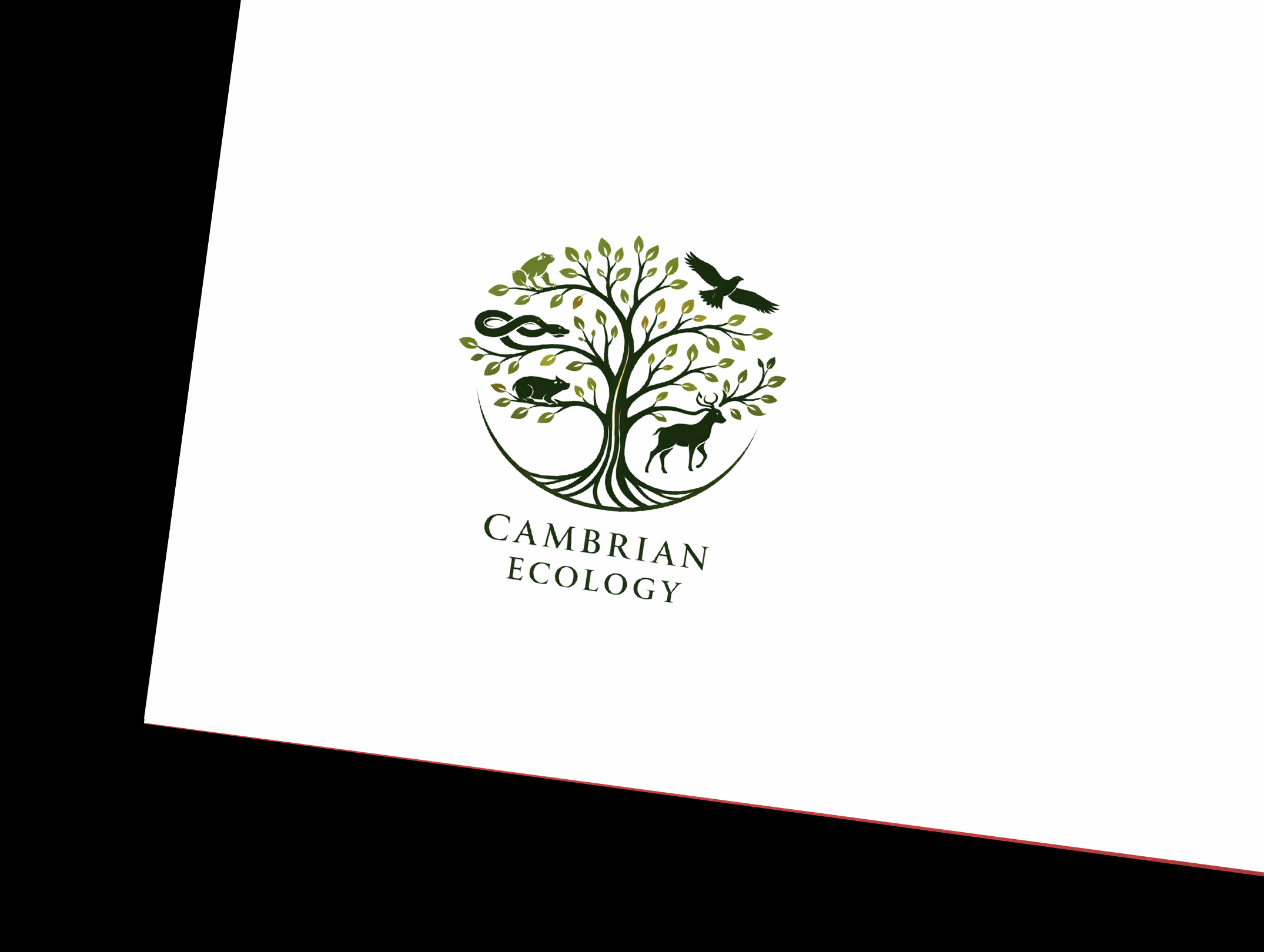 Logo Design by Nova Creative Designs for this project | Design #36970914