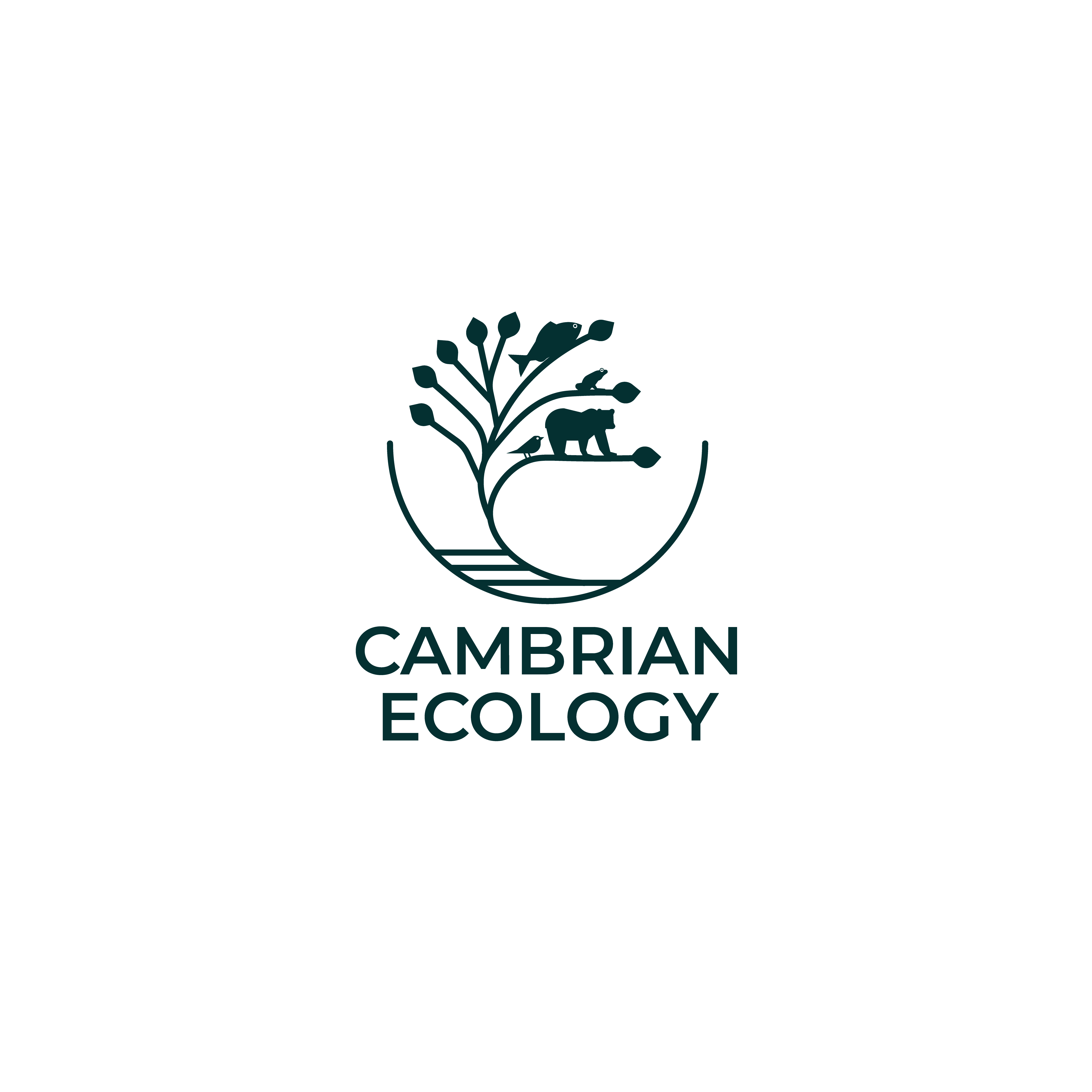 Logo Design by Eve.A for this project | Design #36960750