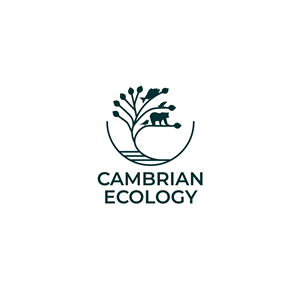 Logo Design by Eve.A for this project | Design: #36960750