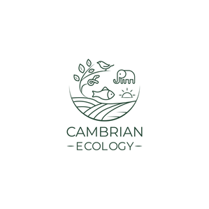 Logo Design by TBM Design for this project | Design: #36960967