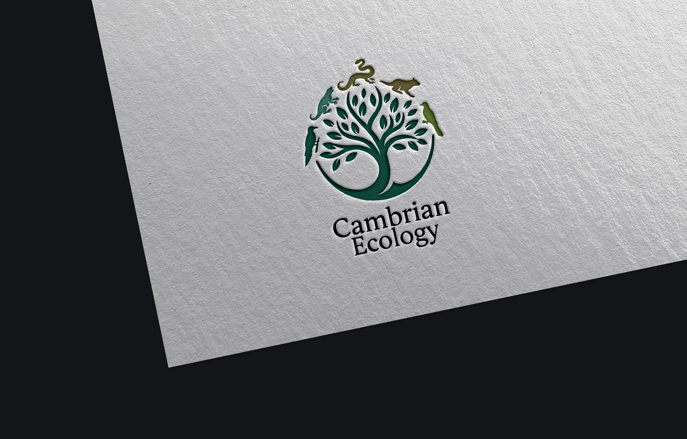 Logo Design by GraphiqueLab for this project | Design #36970933