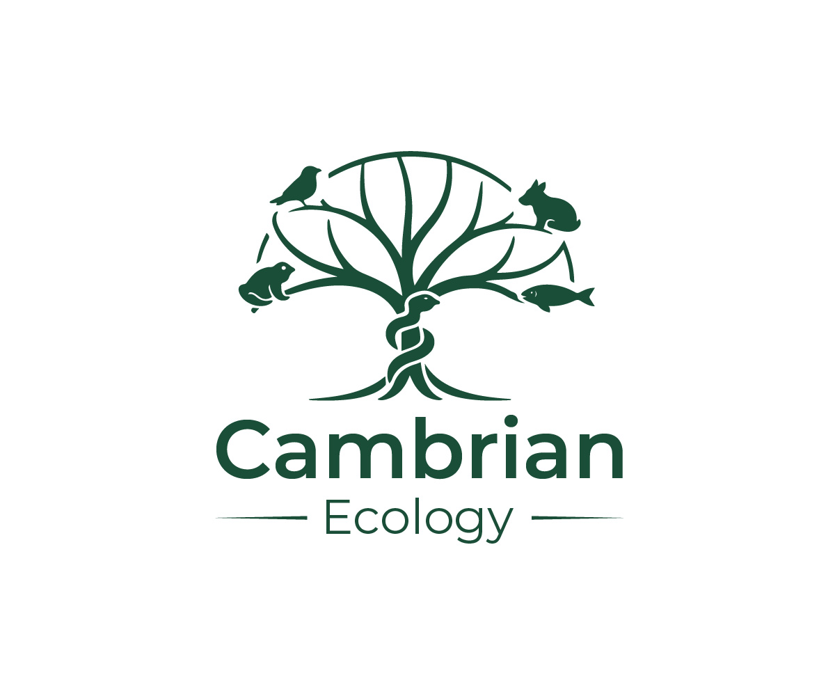 Logo Design by Mala Begum for this project | Design #36960449