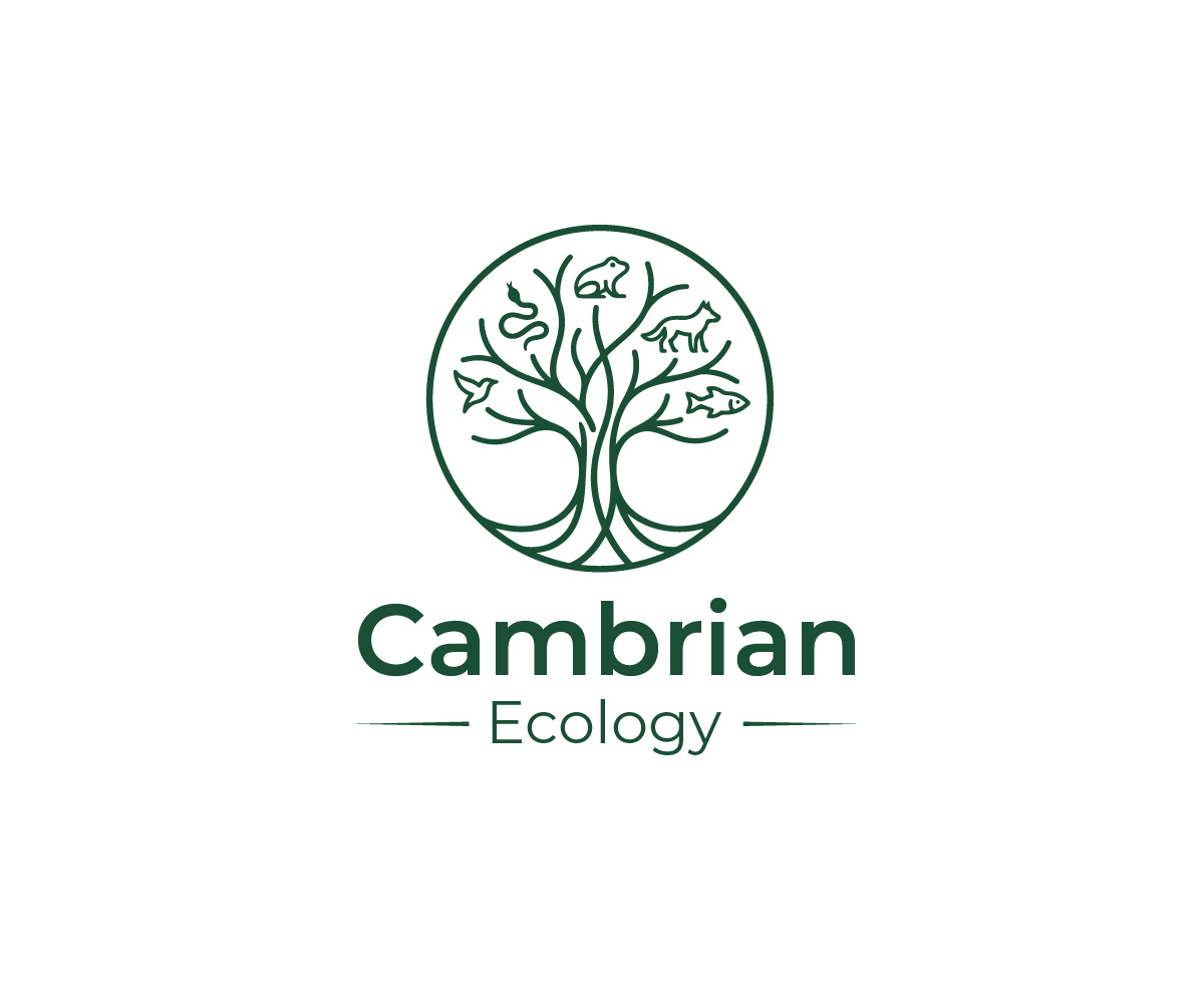 Logo Design by Mala Begum for this project | Design #36960462