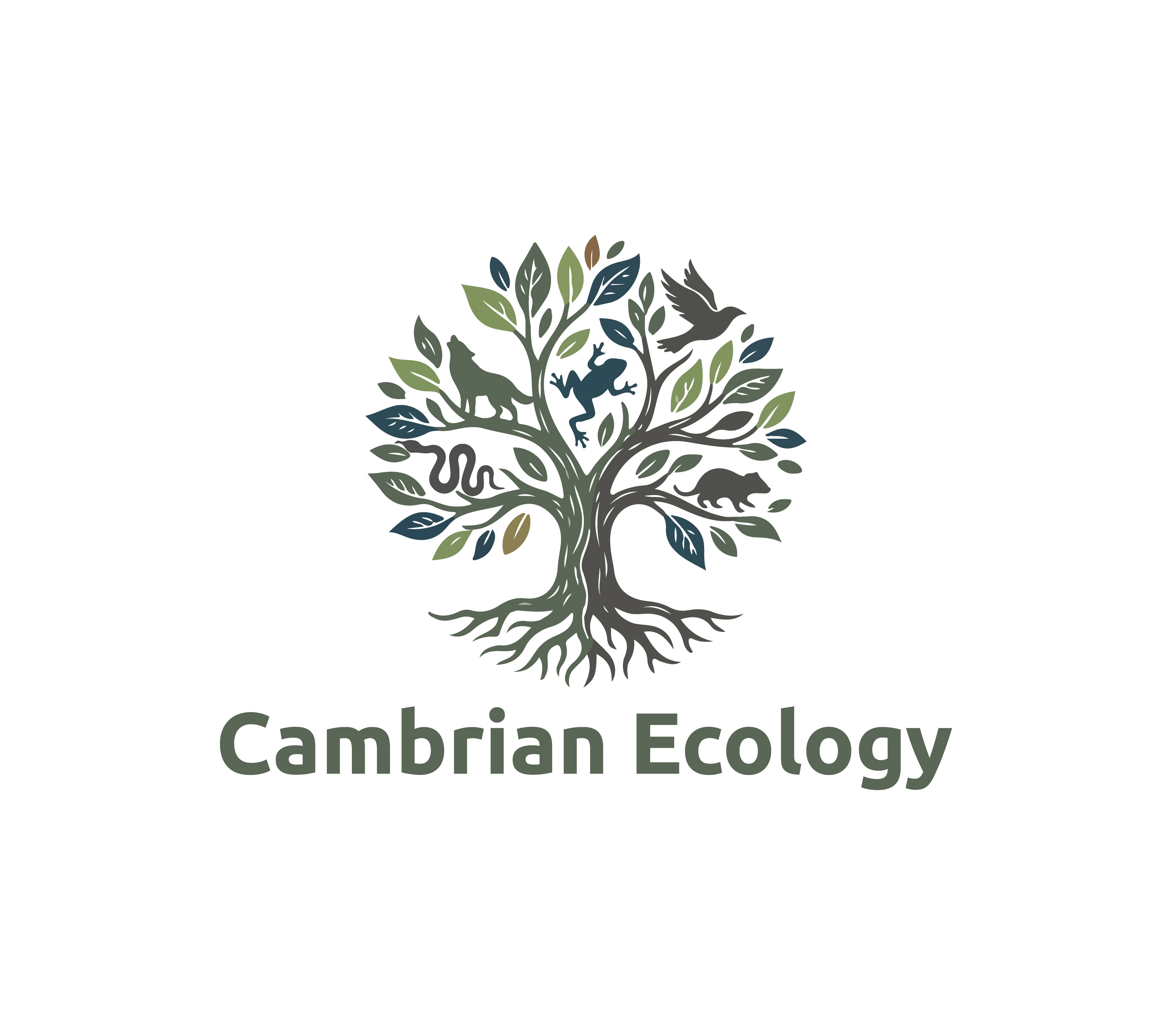 Logo Design by Samiul01 for this project | Design #36968468