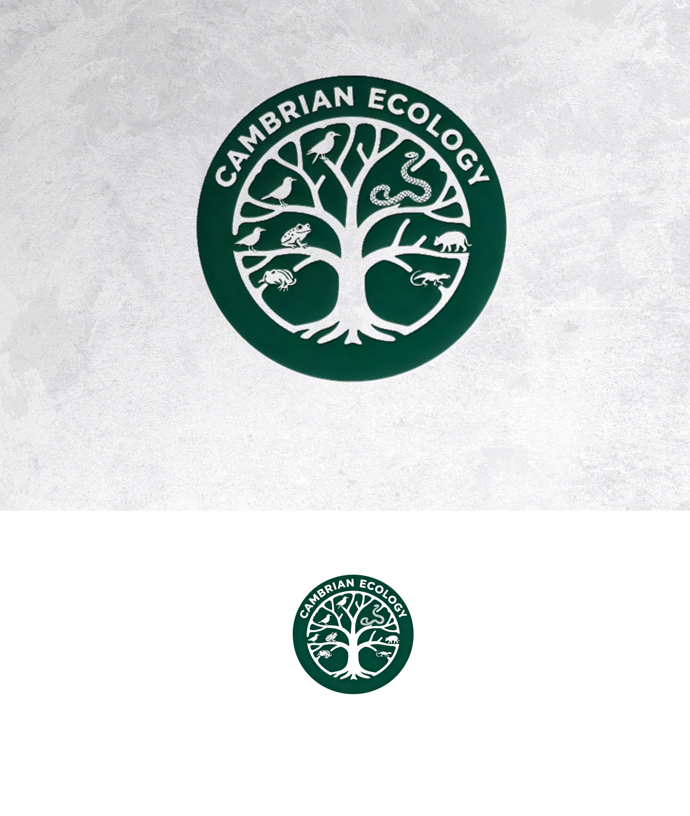 Logo Design by sonu.CR for this project | Design #36991249