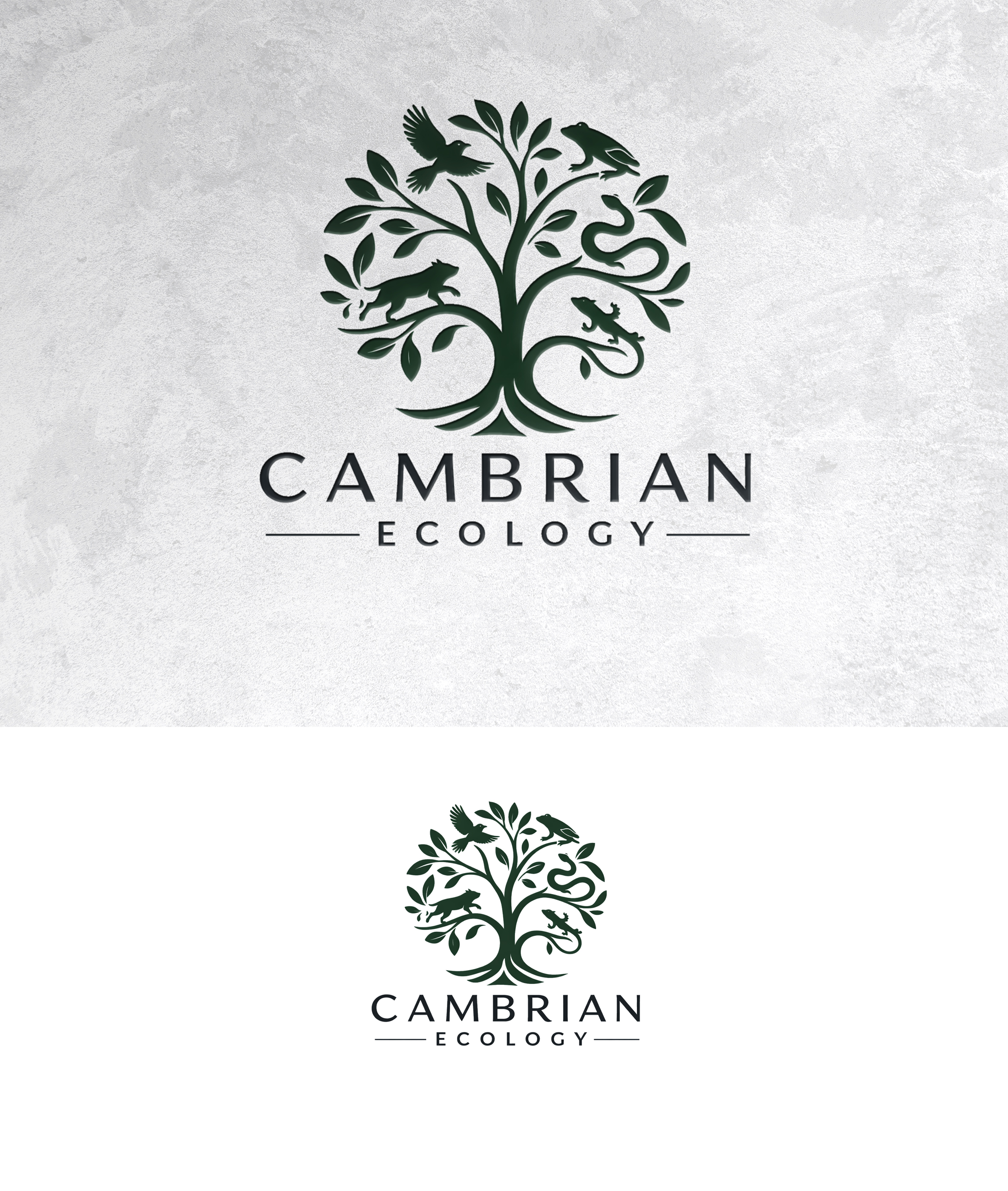 Logo Design by sonu.CR for this project | Design #36991250