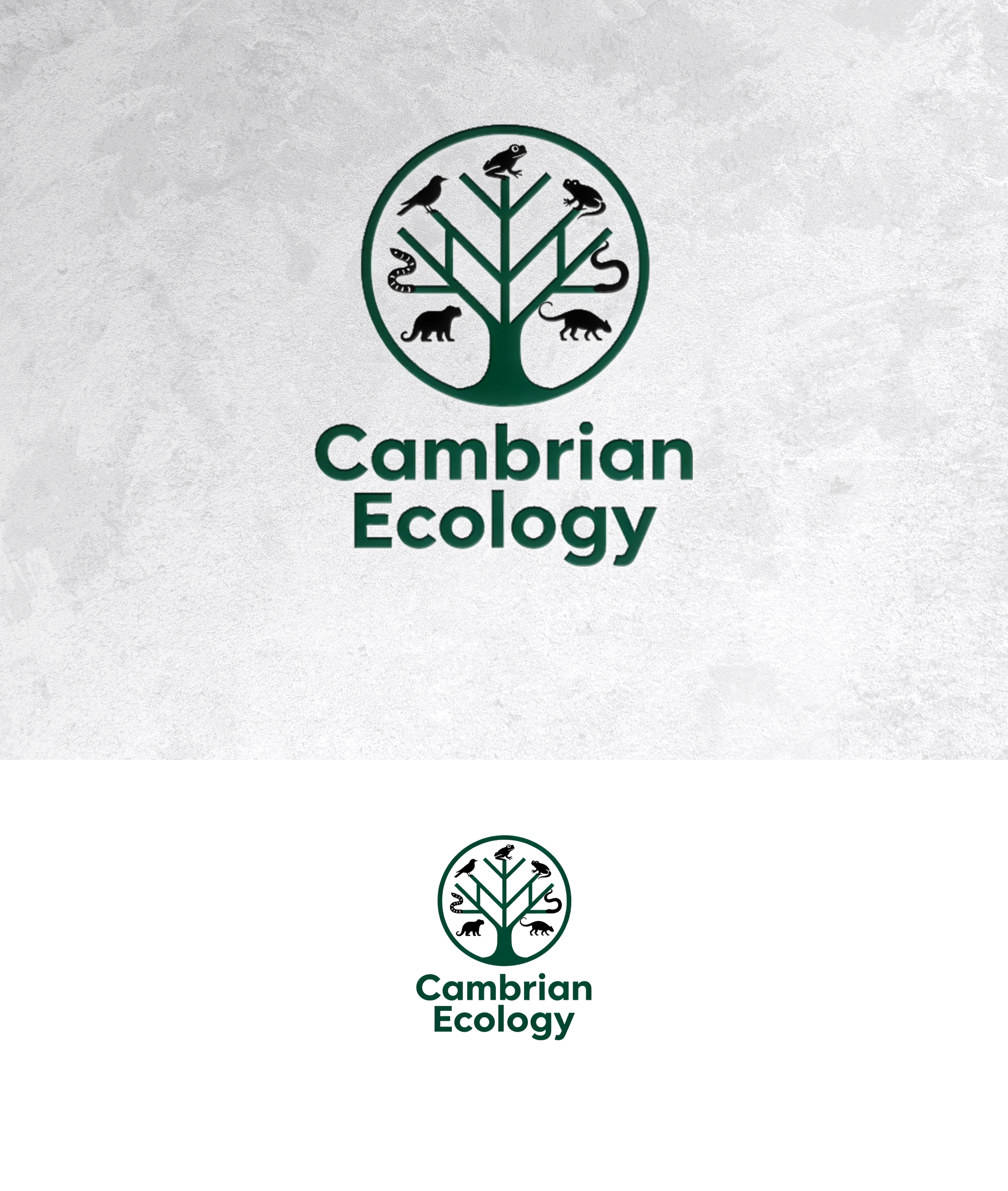 Logo Design by sonu.CR for this project | Design #36991251