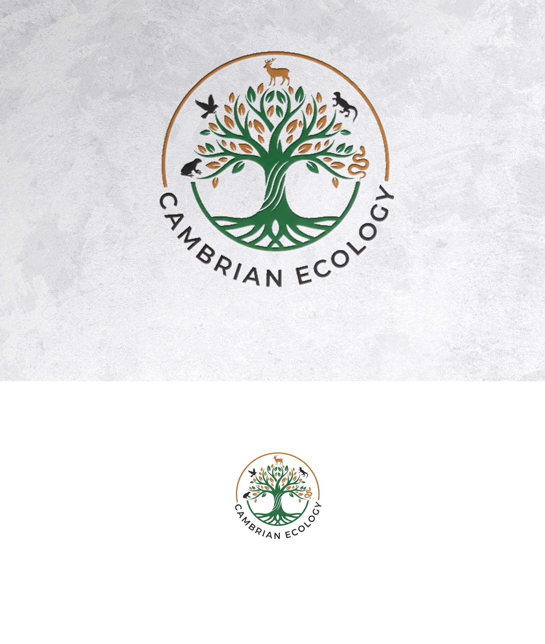 Logo Design by sonu.CR for this project | Design #36991252