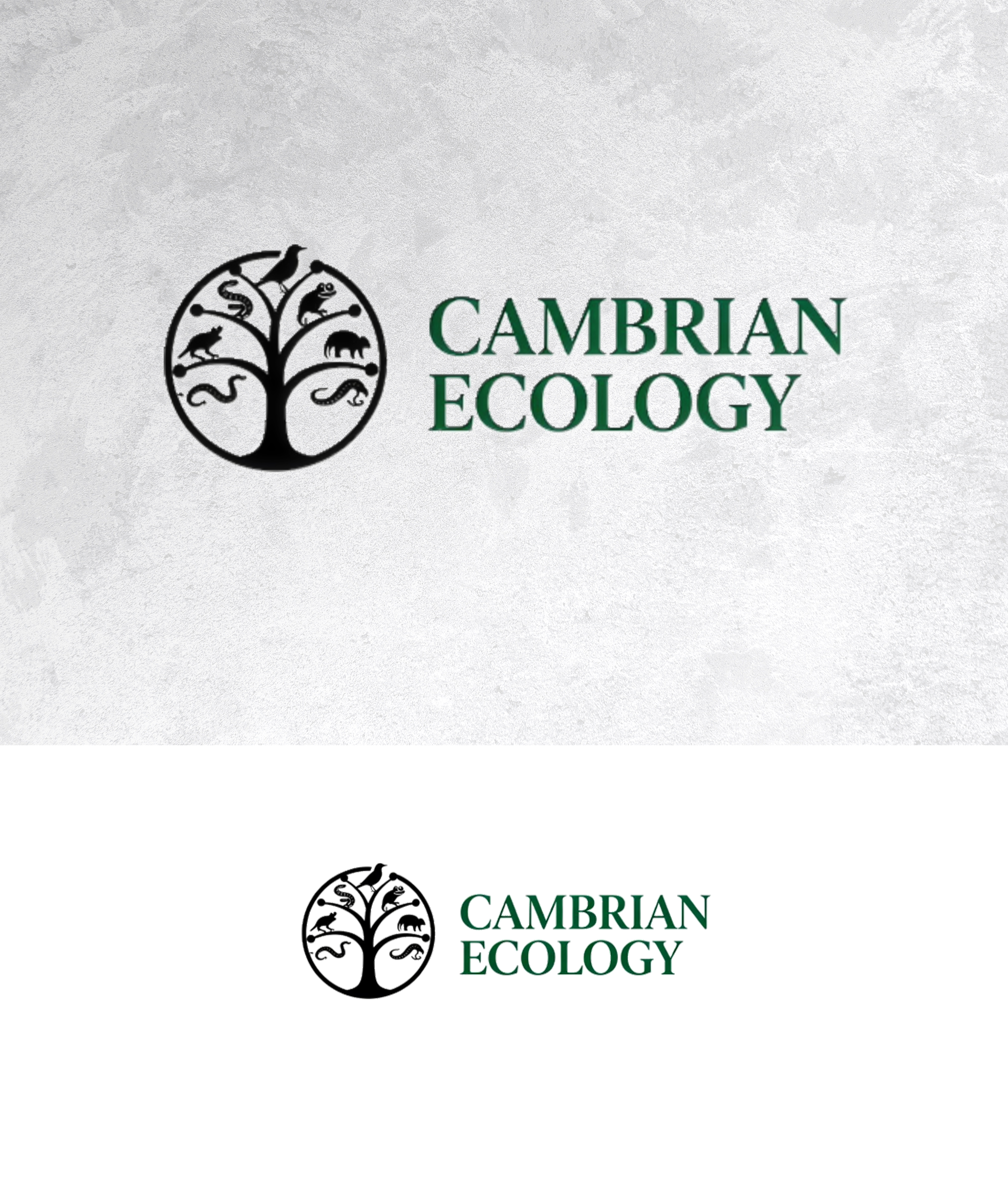 Logo Design by sonu.CR for this project | Design #36991253