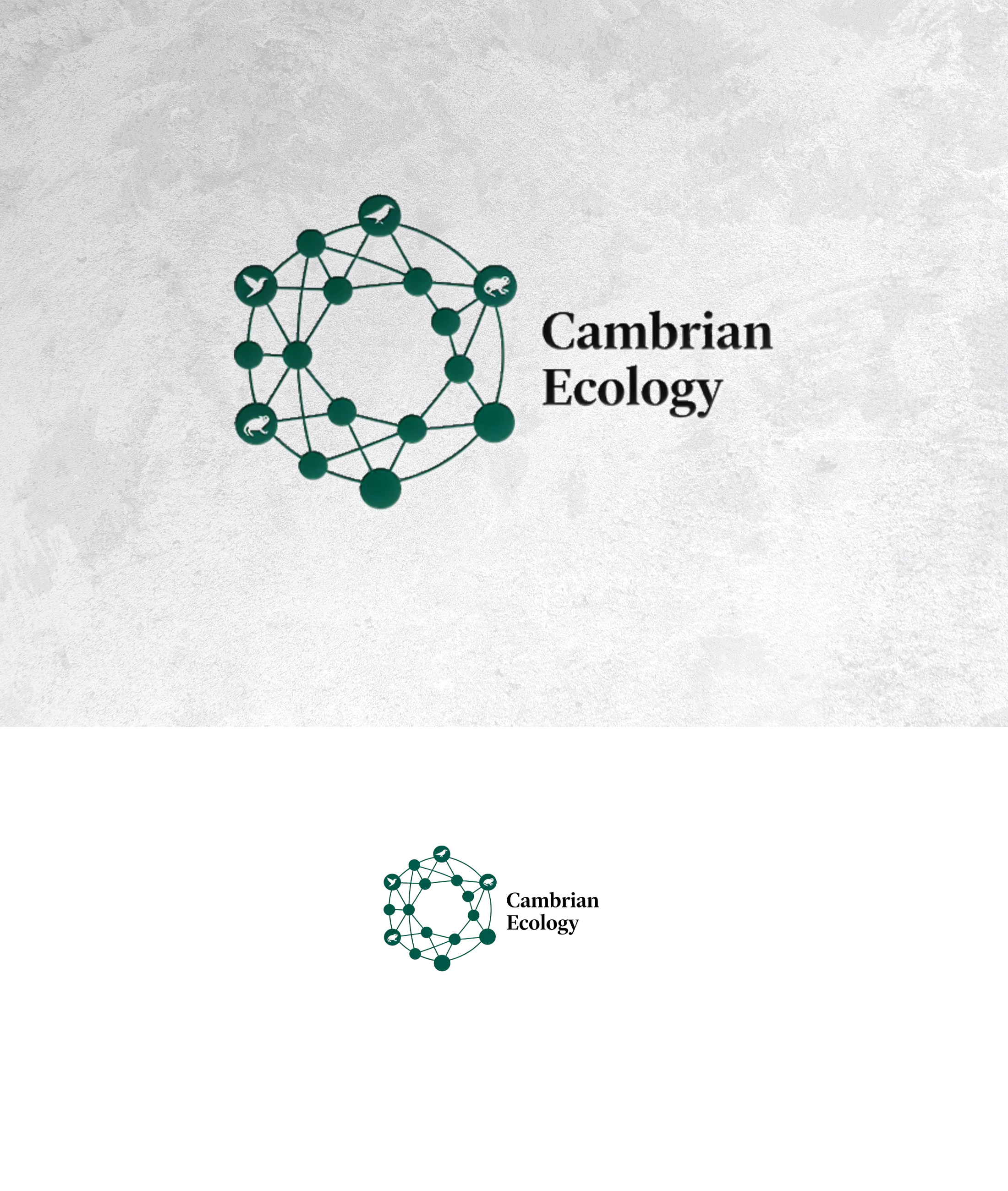 Logo Design by sonu.CR for this project | Design #36991254