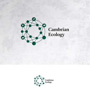 Logo Design by sonu.CR for this project | Design: #36991254