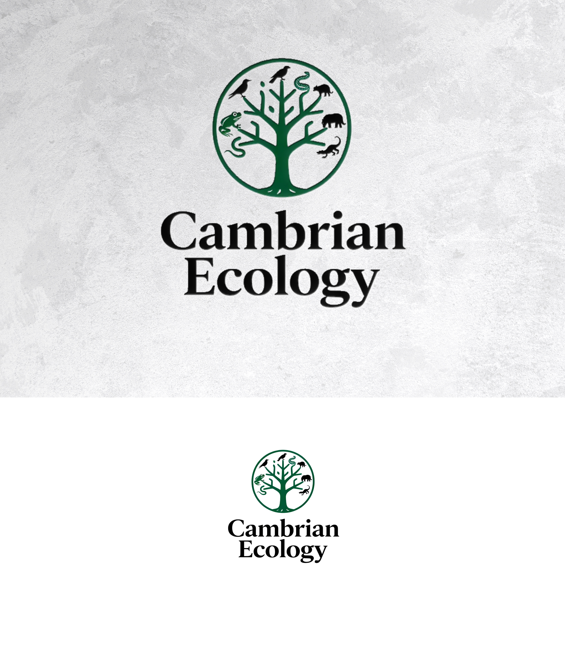 Logo Design by sonu.CR for this project | Design #36991255