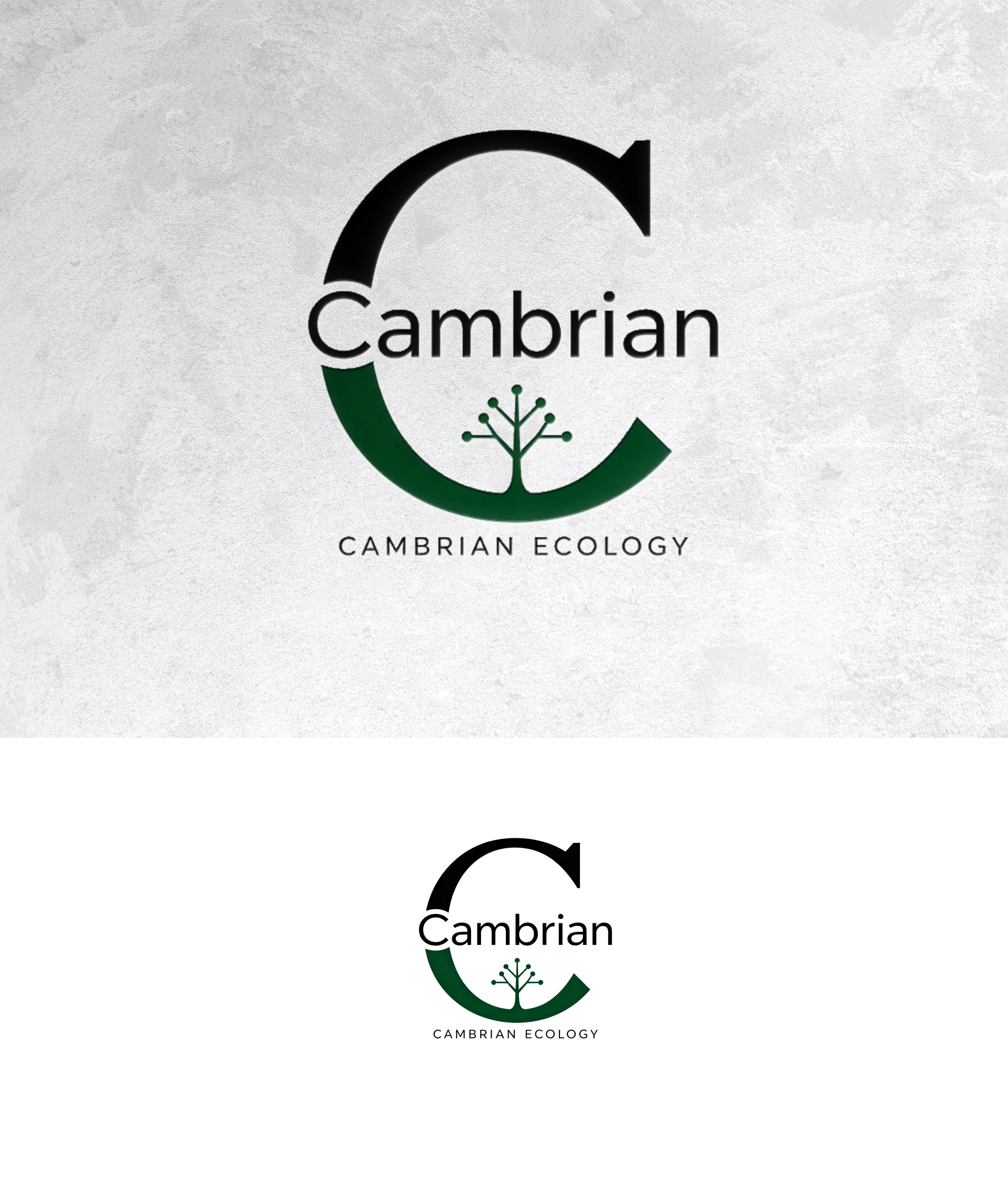 Logo Design by sonu.CR for this project | Design #36991256