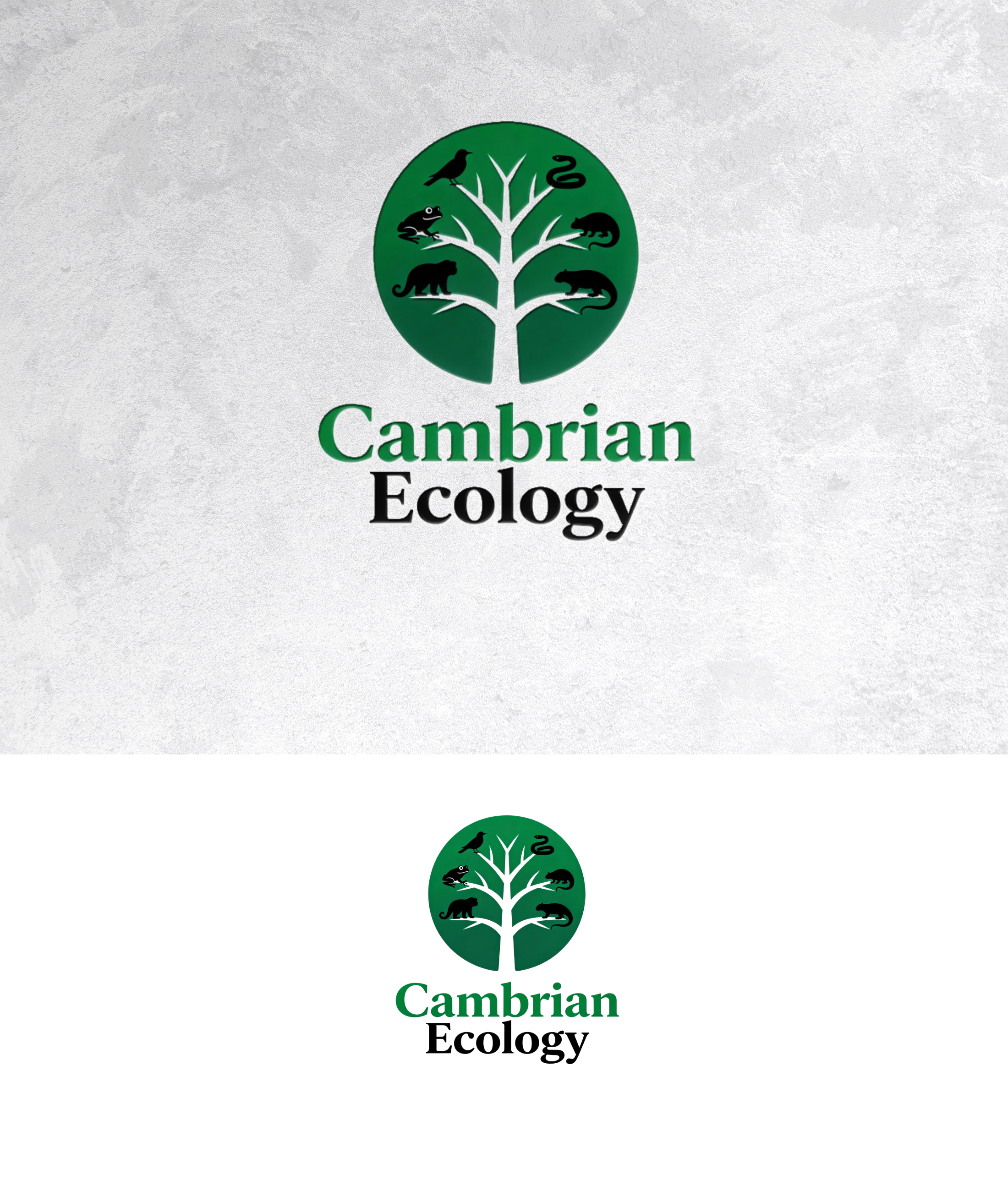 Logo Design by sonu.CR for this project | Design #36991257