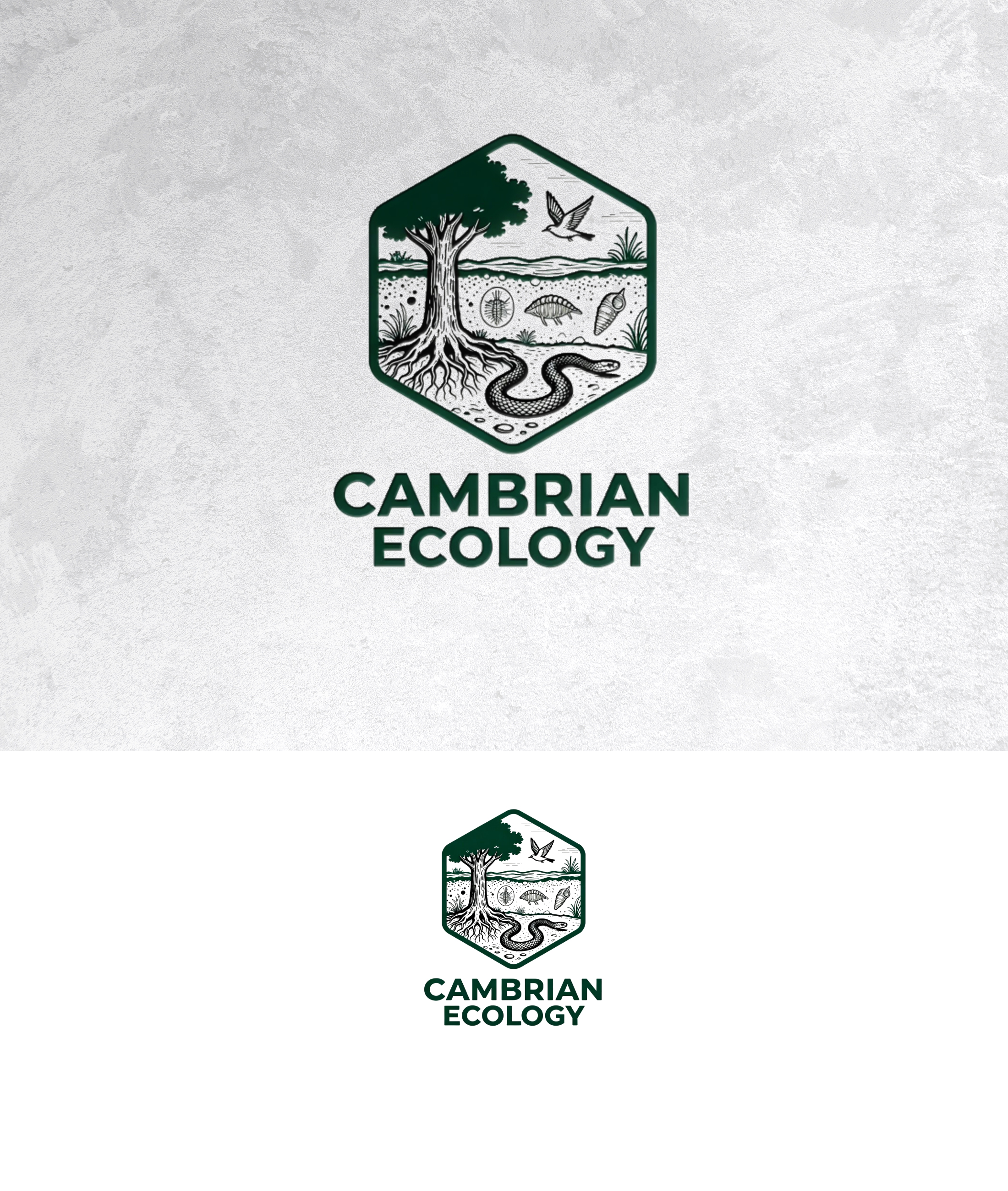 Logo Design by sonu.CR for this project | Design #36991258