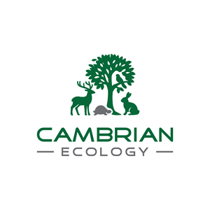 Logo Design by Infinity Pixel Studio 2026 for this project | Design #36961100