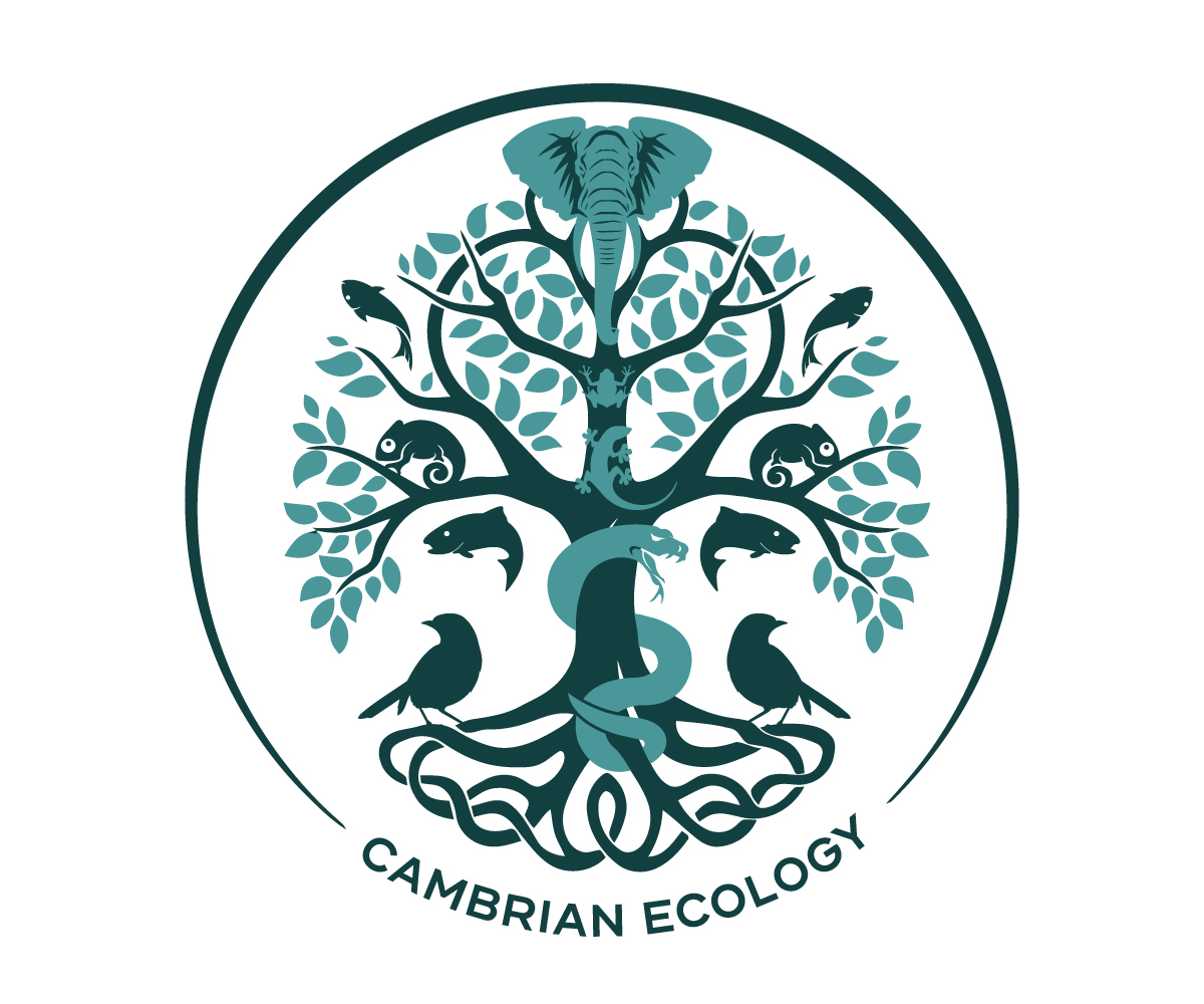 Logo Design by PixelIron for this project | Design #36974188