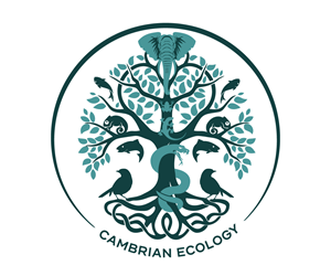 Logo Design by PixelIron for this project | Design: #36974188