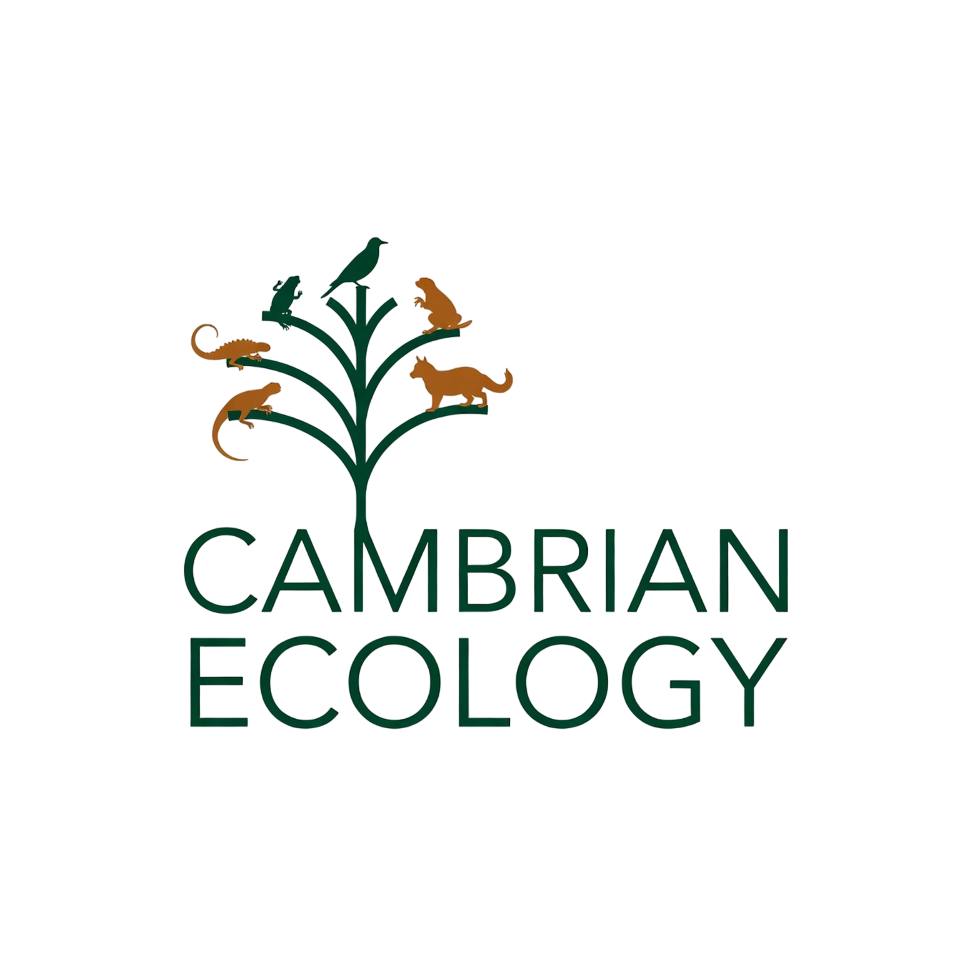 Logo Design by Creative5 for this project | Design #36996258