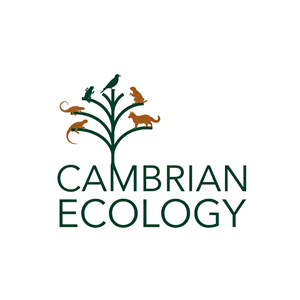 Logo Design by Creative5 for this project | Design: #36996258