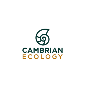 Logo Design by Creative5 for this project | Design: #36996290