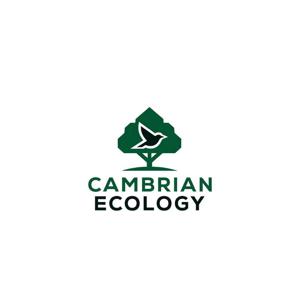 Logo Design by Creative5 for this project | Design #36996291