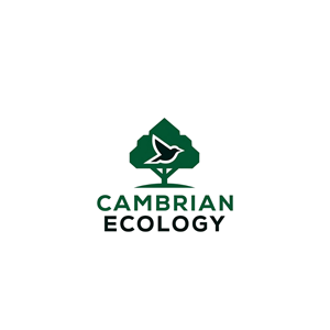 Logo Design by Creative5 for this project | Design: #36996291