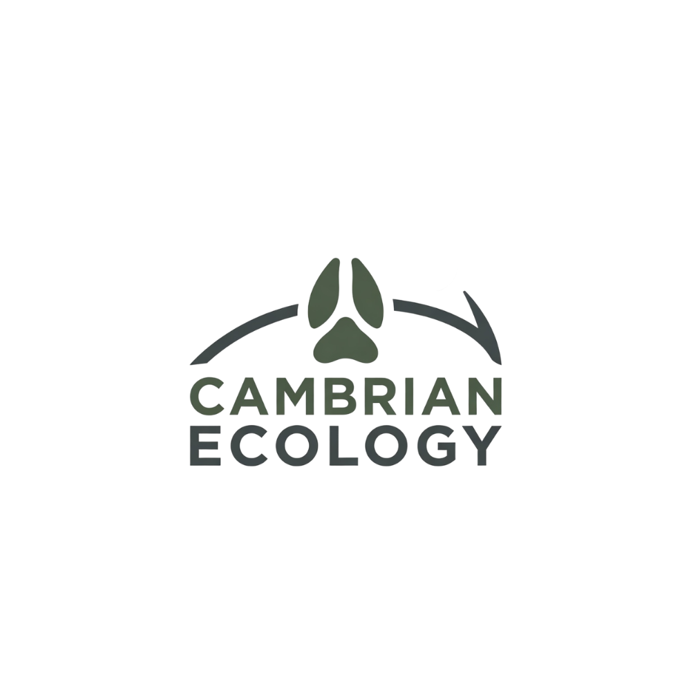 Logo Design by Creative5 for this project | Design #36996292