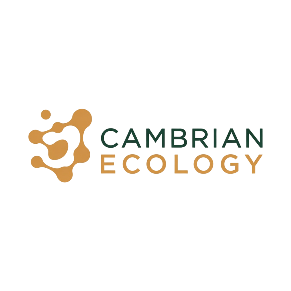 Logo Design by Creative5 for this project | Design #36996295