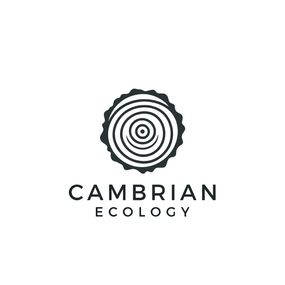 Logo Design by Creative5 for this project | Design #36996296