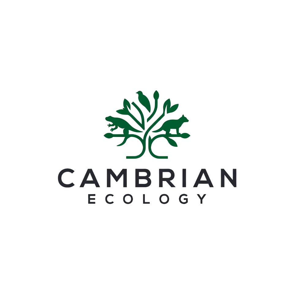 Logo Design by Creative5 for this project | Design #36996298