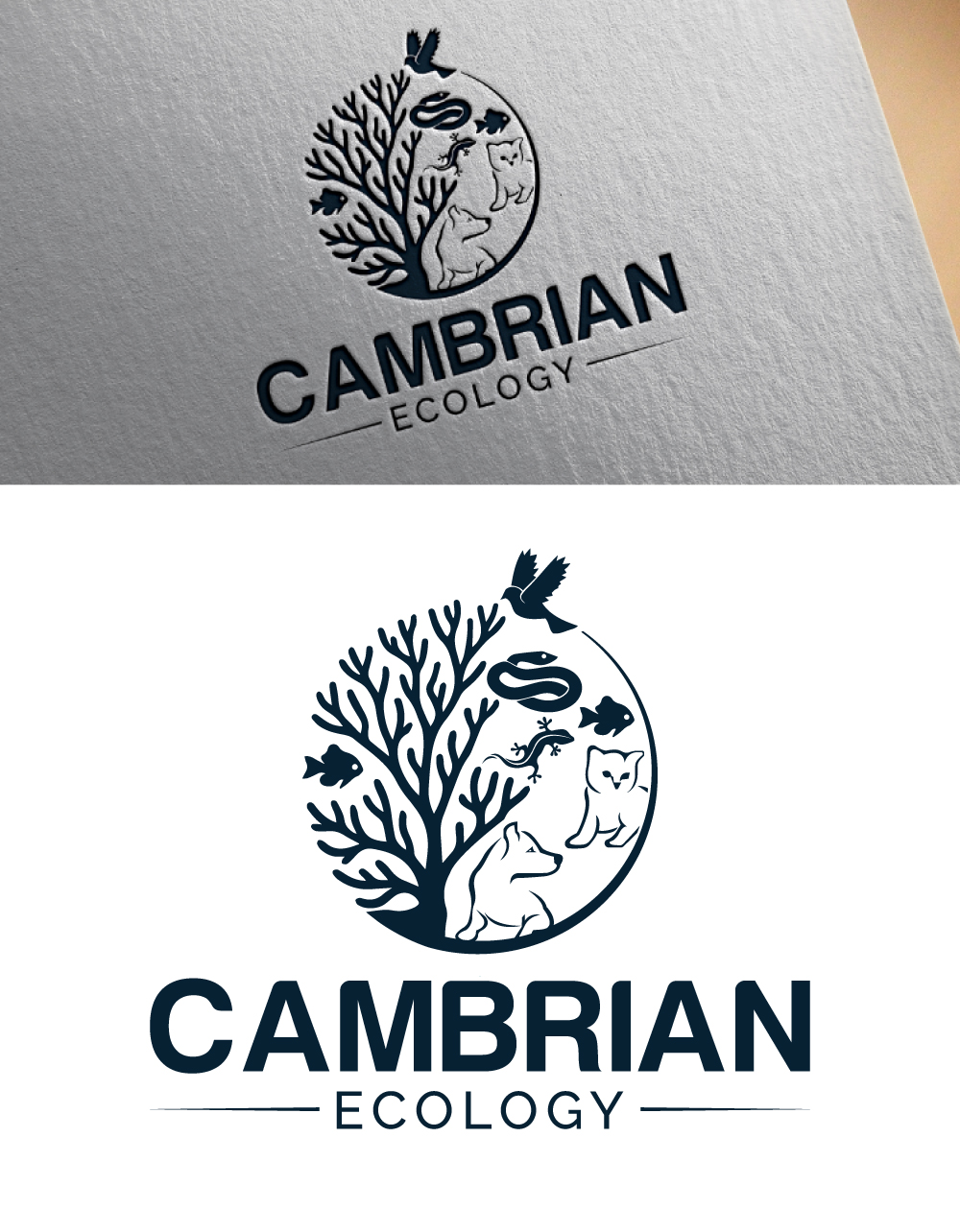 Logo Design by Dior design for this project | Design #36963884