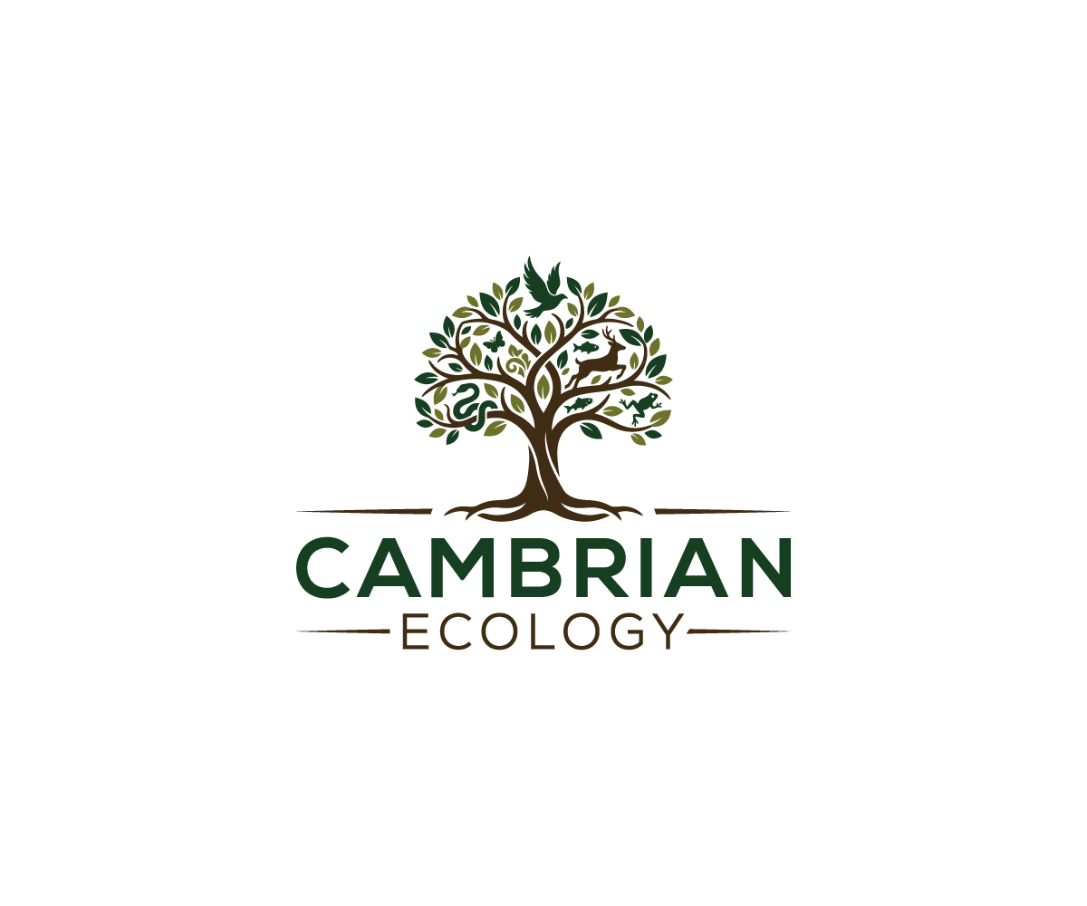 Logo Design by MarkCraft for this project | Design #36963191