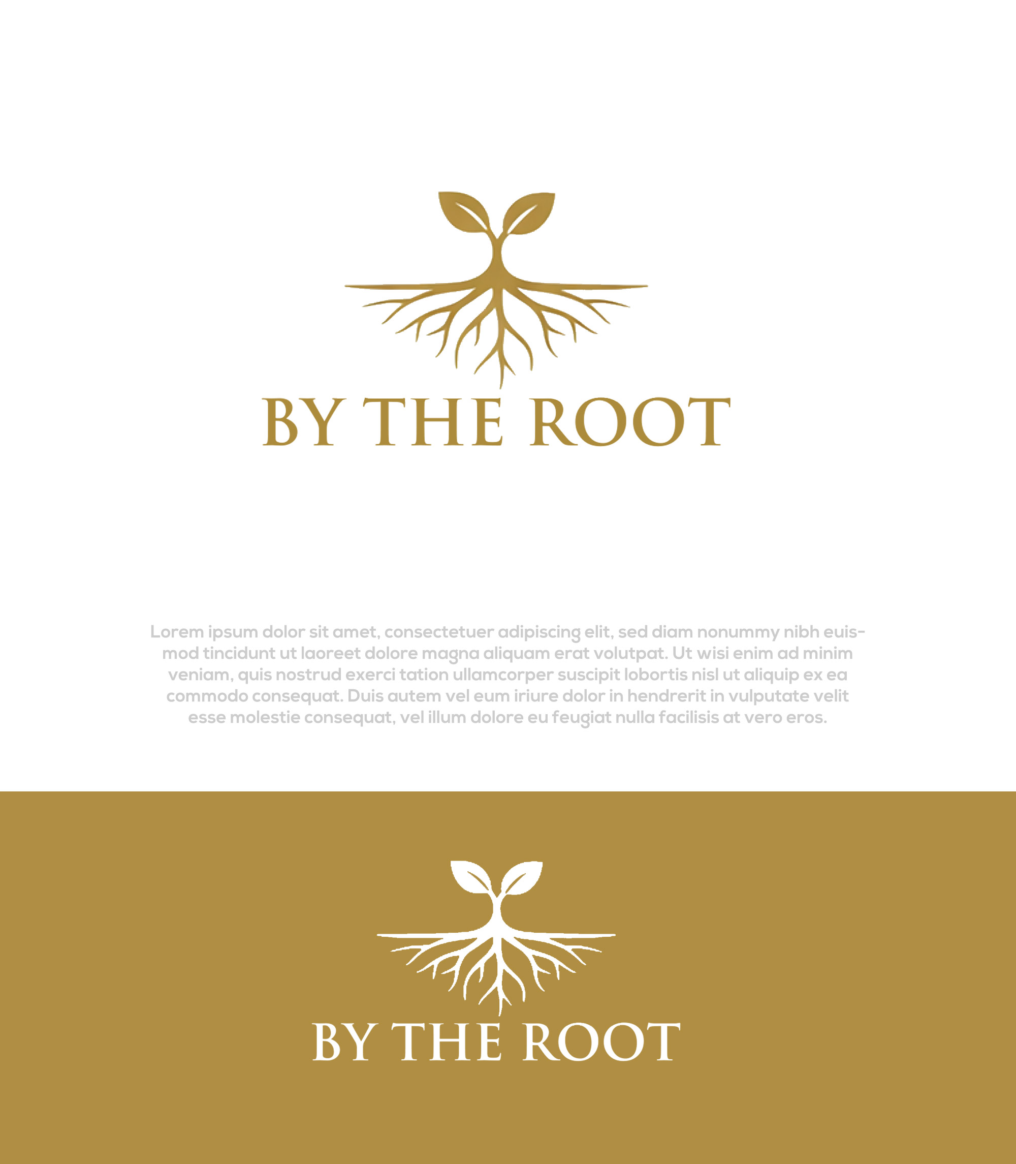 Logo Design by InkPilot_Studio™ for this project | Design #36965478