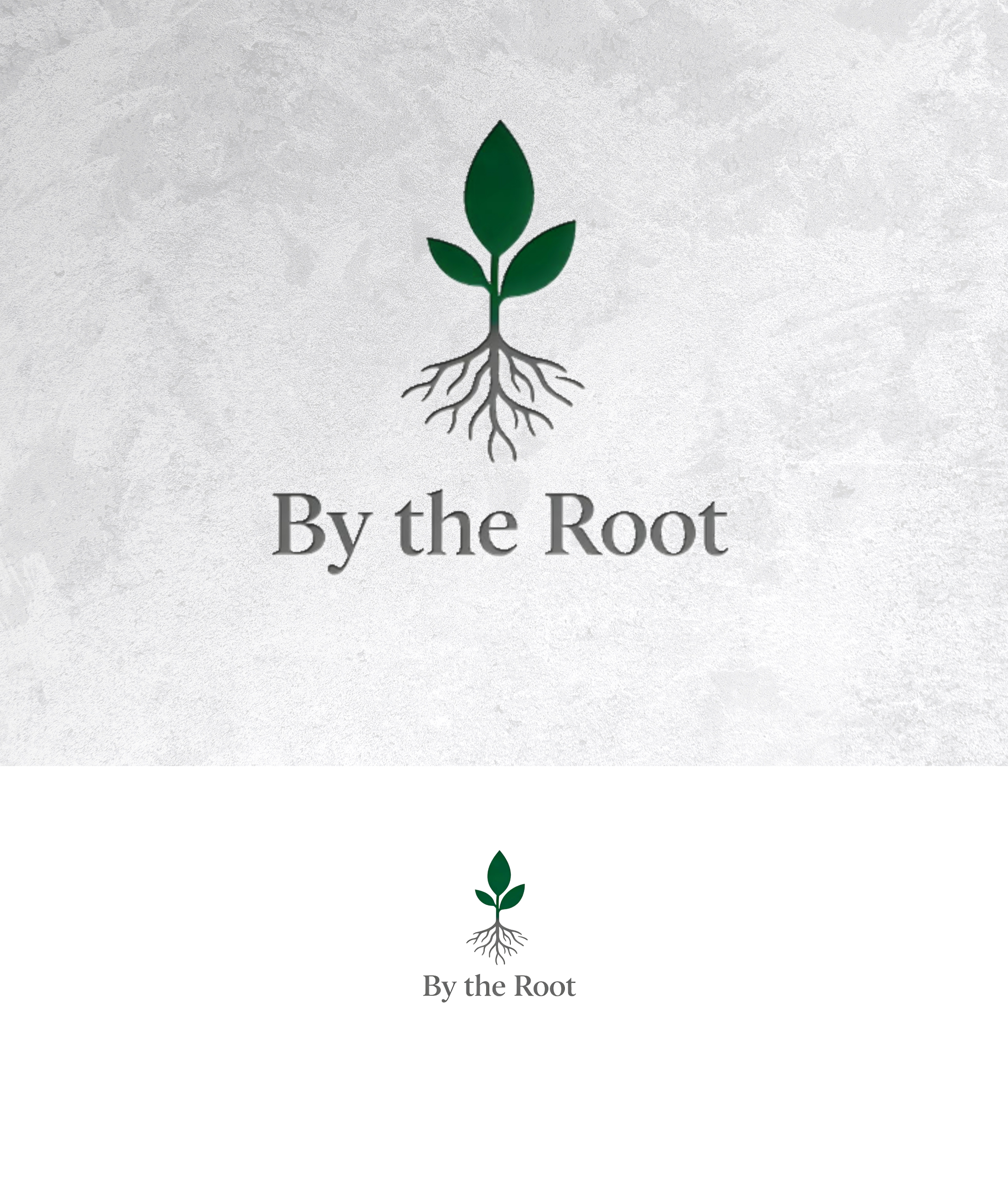 Logo-Design von sonu.CR für dieses Projekt | Design #36981940