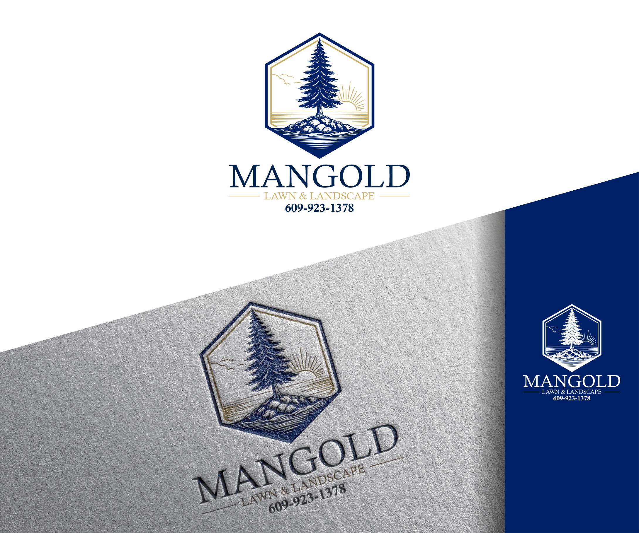 Logo Design by alkaline for this project | Design #36966473