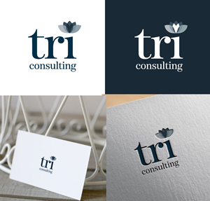 I would like to create a logo for management consulting company. It is a privately owned.