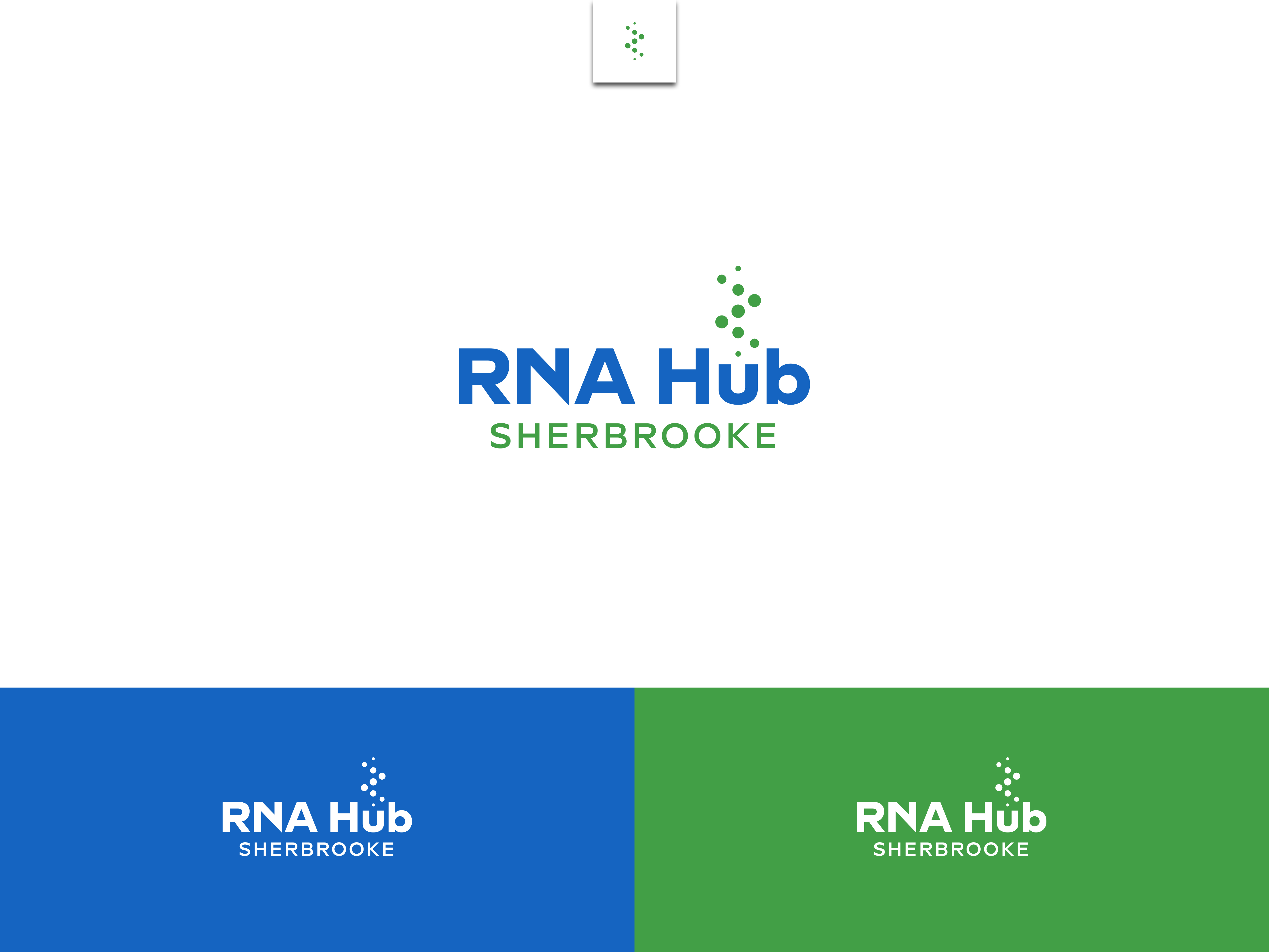 Logo Design by Ensignia for this project | Design #37007517