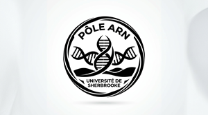 Logo Design by hossain32 for this project | Design: #36976148